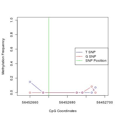 Allele Specific Methylation Frequency Diagram for chr12 56452670 SNP.