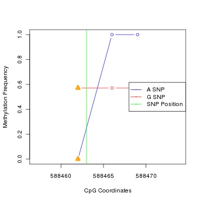 Allele Specific Methylation Frequency Diagram for chr12 588463 SNP.