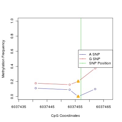 Allele Specific Methylation Frequency Diagram for chr12 6037457 SNP.