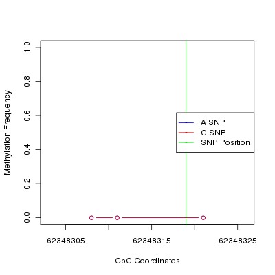 Allele Specific Methylation Frequency Diagram for chr12 62348319 SNP.