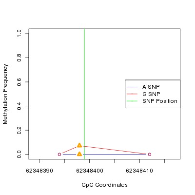 Allele Specific Methylation Frequency Diagram for chr12 62348399 SNP.