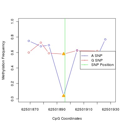 Allele Specific Methylation Frequency Diagram for chr12 62501896 SNP.