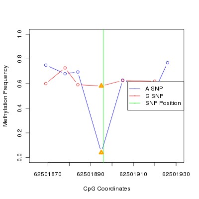 Allele Specific Methylation Frequency Diagram for chr12 62501896 SNP.