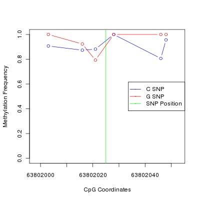 Allele Specific Methylation Frequency Diagram for chr12 63802025 SNP.