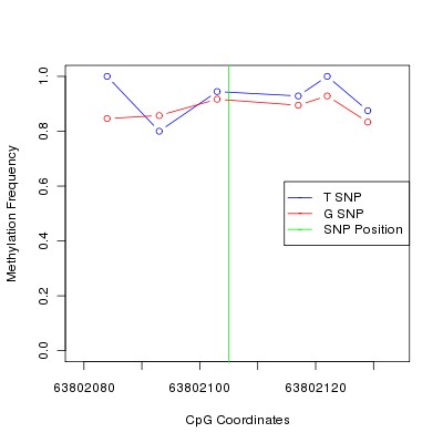 Allele Specific Methylation Frequency Diagram for chr12 63802105 SNP.