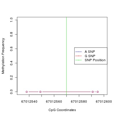 Allele Specific Methylation Frequency Diagram for chr12 67012570 SNP.