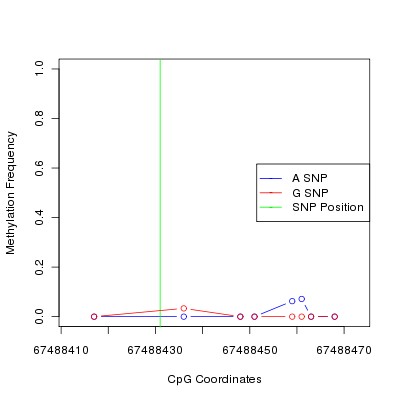 Allele Specific Methylation Frequency Diagram for chr12 67488431 SNP.