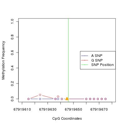 Allele Specific Methylation Frequency Diagram for chr12 67919646 SNP.