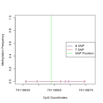 Allele Specific Methylation Frequency Diagram for chr12 70119948 SNP.