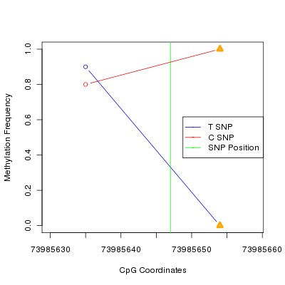 Allele Specific Methylation Frequency Diagram for chr12 73985647 SNP.