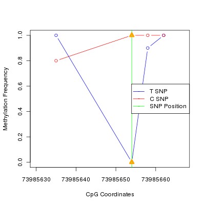 Allele Specific Methylation Frequency Diagram for chr12 73985654 SNP.