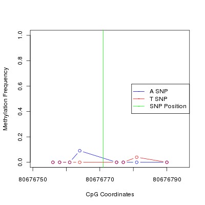 Allele Specific Methylation Frequency Diagram for chr12 80676771 SNP.