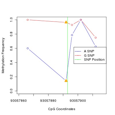 Allele Specific Methylation Frequency Diagram for chr12 93057893 SNP.