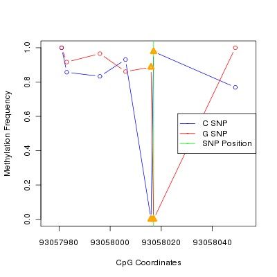 Allele Specific Methylation Frequency Diagram for chr12 93058017 SNP.