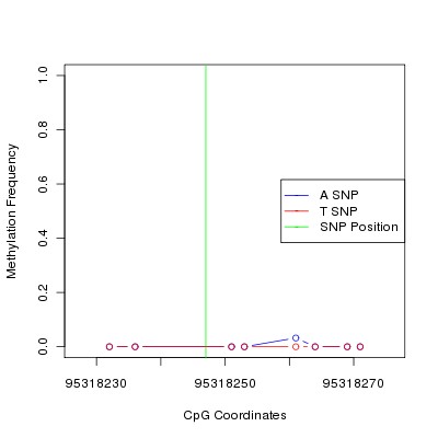 Allele Specific Methylation Frequency Diagram for chr12 95318247 SNP.