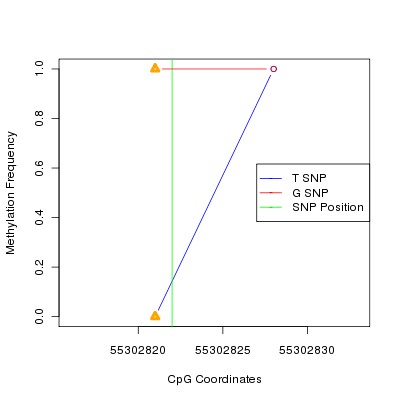 Allele Specific Methylation Frequency Diagram for chr14 55302822 SNP.
