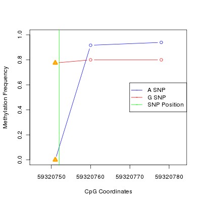 Allele Specific Methylation Frequency Diagram for chr19 59320752 SNP.
