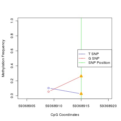 Allele Specific Methylation Frequency Diagram for chr19 59368915 SNP.