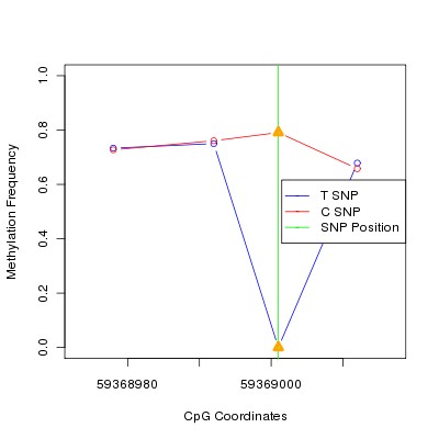 Allele Specific Methylation Frequency Diagram for chr19 59369001 SNP.