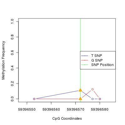 Allele Specific Methylation Frequency Diagram for chr19 59396572 SNP.