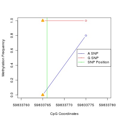 Allele Specific Methylation Frequency Diagram for chr19 59833766 SNP.