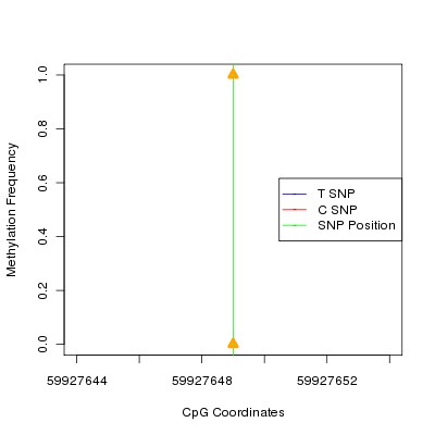 Allele Specific Methylation Frequency Diagram for chr19 59927649 SNP.