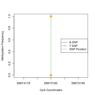 Allele Specific Methylation Frequency Diagram for chr19 59973182 SNP.