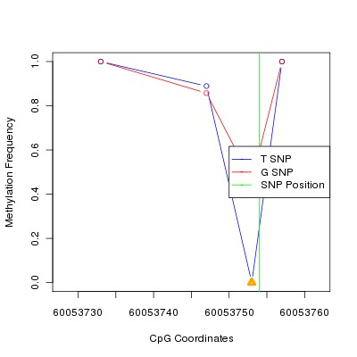 Allele Specific Methylation Frequency Diagram for chr19 60053754 SNP.