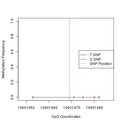 Allele Specific Methylation Frequency Diagram for chr20 10601469 SNP.