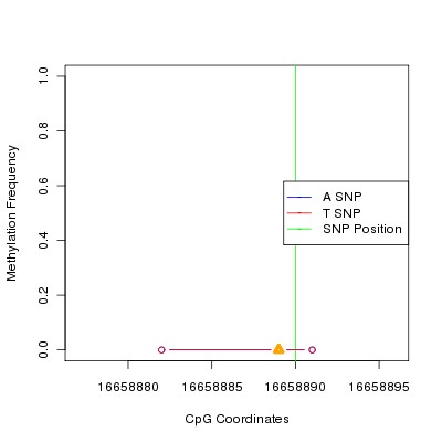 Allele Specific Methylation Frequency Diagram for chr20 16658890 SNP.