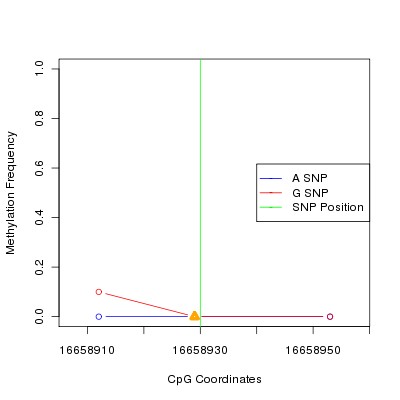 Allele Specific Methylation Frequency Diagram for chr20 16658930 SNP.