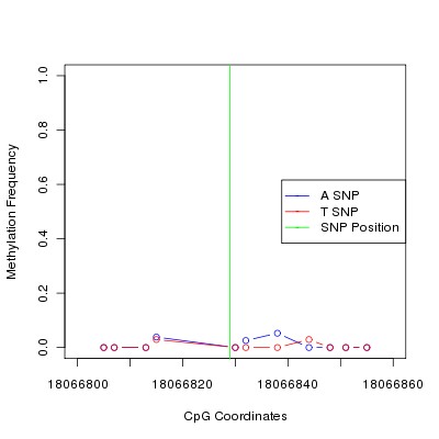 Allele Specific Methylation Frequency Diagram for chr20 18066829 SNP.