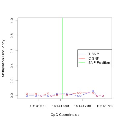 Allele Specific Methylation Frequency Diagram for chr20 19141682 SNP.