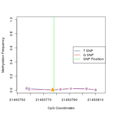 Allele Specific Methylation Frequency Diagram for chr20 21450778 SNP.