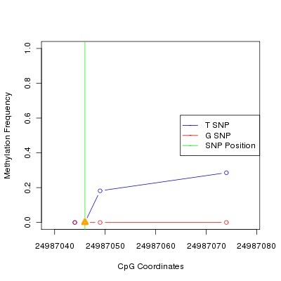 Allele Specific Methylation Frequency Diagram for chr20 24987046 SNP.