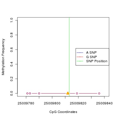 Allele Specific Methylation Frequency Diagram for chr20 25009813 SNP.