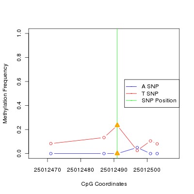 Allele Specific Methylation Frequency Diagram for chr20 25012491 SNP.