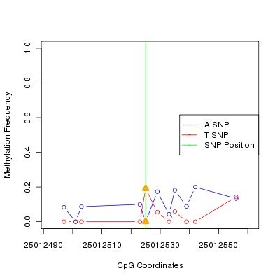 Allele Specific Methylation Frequency Diagram for chr20 25012525 SNP.