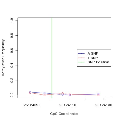 Allele Specific Methylation Frequency Diagram for chr20 25124101 SNP.