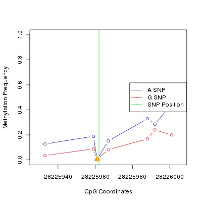 Allele Specific Methylation Frequency Diagram for chr20 28225962 SNP.