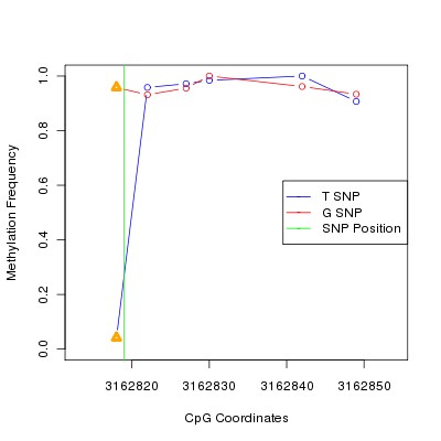 Allele Specific Methylation Frequency Diagram for chr20 3162819 SNP.