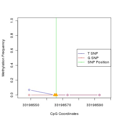 Allele Specific Methylation Frequency Diagram for chr20 33198566 SNP.