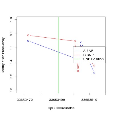 Allele Specific Methylation Frequency Diagram for chr20 33653491 SNP.