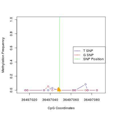 Allele Specific Methylation Frequency Diagram for chr20 36497049 SNP.