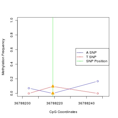Allele Specific Methylation Frequency Diagram for chr20 36788219 SNP.