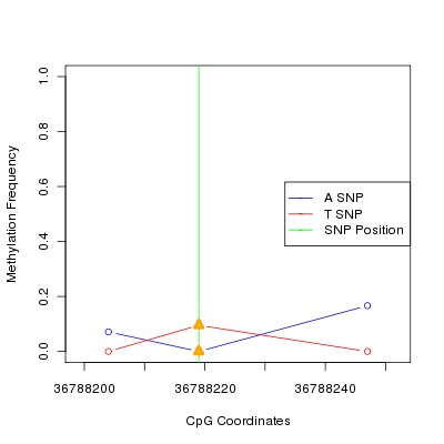Allele Specific Methylation Frequency Diagram for chr20 36788219 SNP.