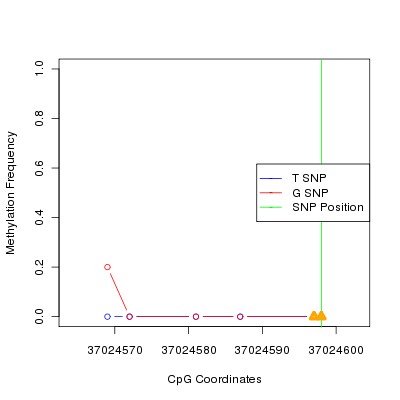 Allele Specific Methylation Frequency Diagram for chr20 37024598 SNP.