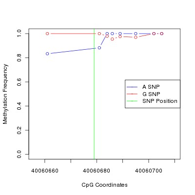 Allele Specific Methylation Frequency Diagram for chr20 40060679 SNP.