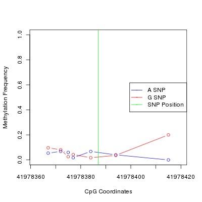 Allele Specific Methylation Frequency Diagram for chr20 41978387 SNP.