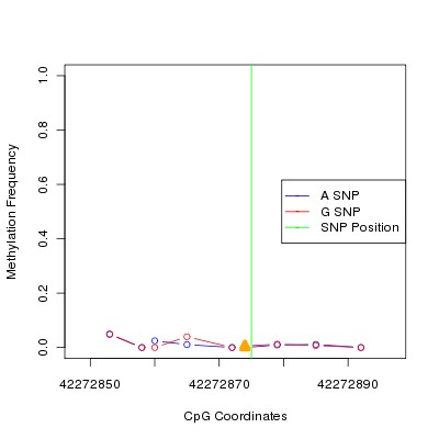 Allele Specific Methylation Frequency Diagram for chr20 42272875 SNP.